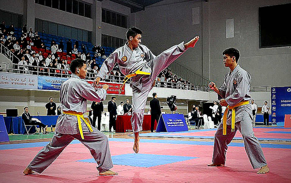 An Empty Report in Vietnamese Martial Arts: When the Data Is Missing, Hold the Verdict