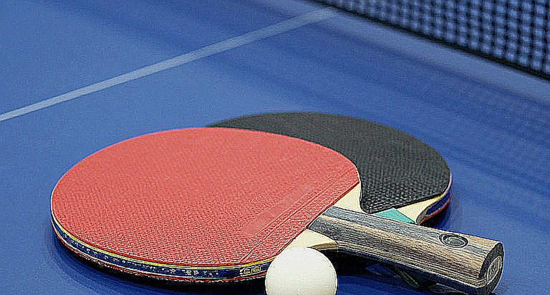Anna Hursey vào vòng 1/8 WTT Champions Ma Cao 2026: Trận đấu với Miwa Harimoto là thước đo thực sự